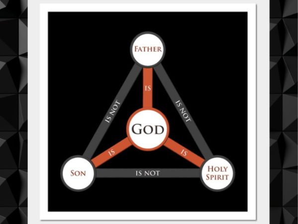 Roles Within the&nbsp;Trinity